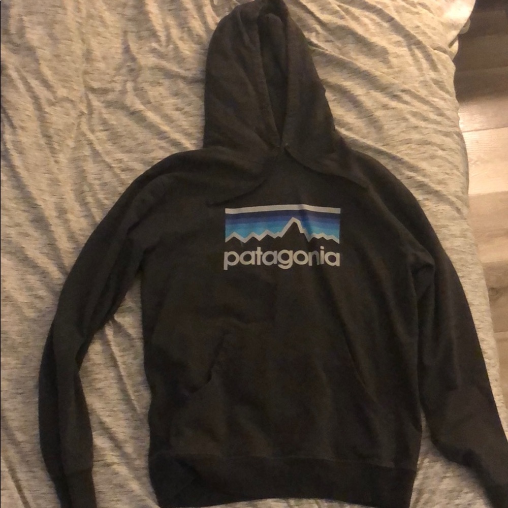 Patagonia Logo Hoodie